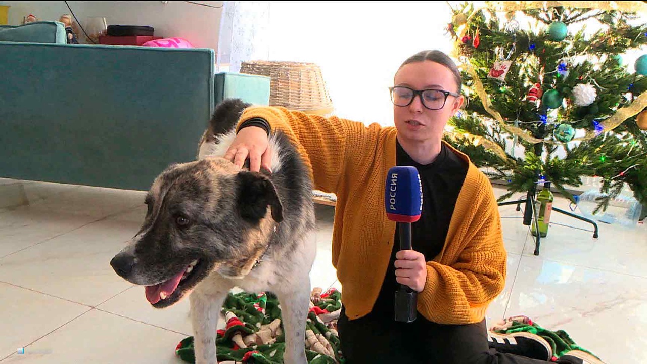 Эфир от 28.12.2025 (14:30)