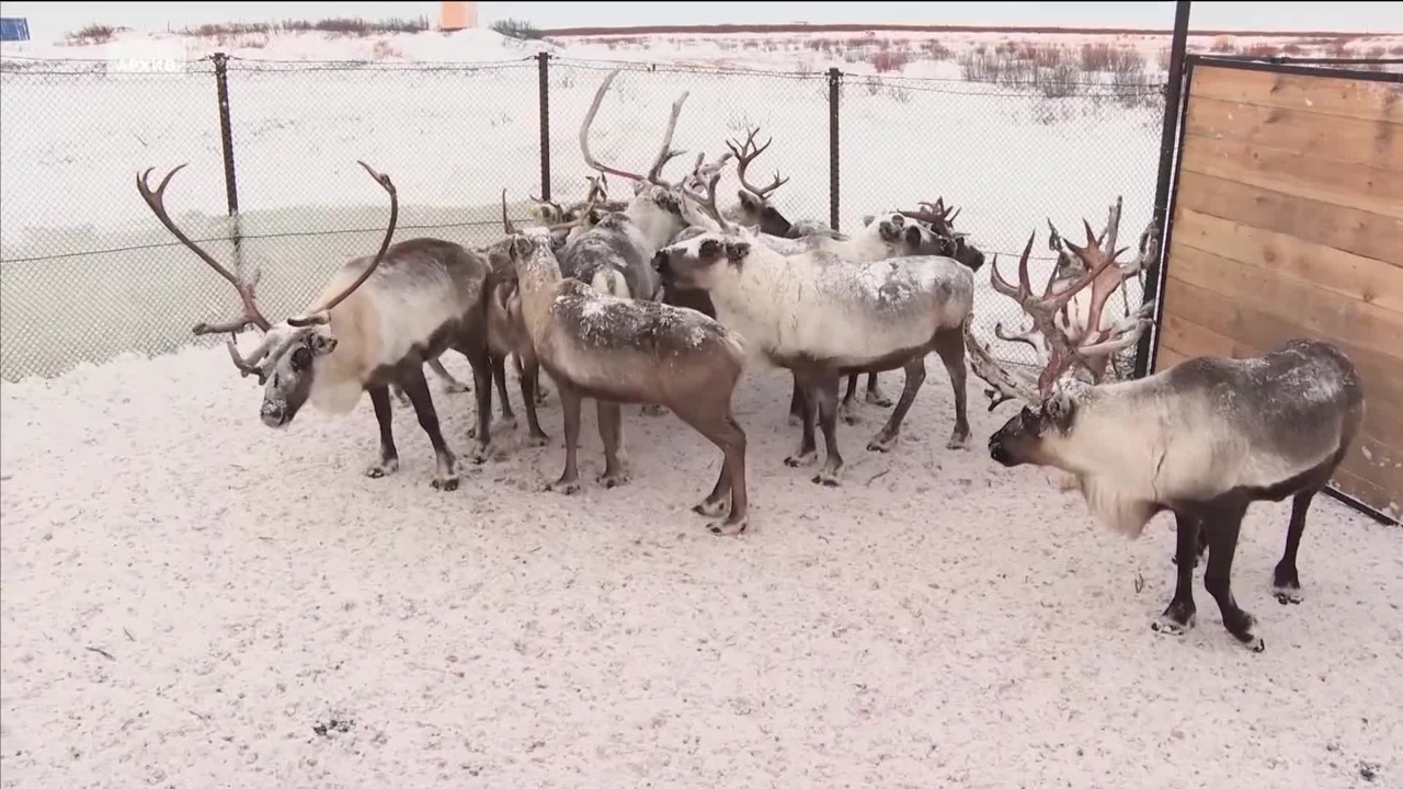 Эфир от 28.12.2025 (14:30)