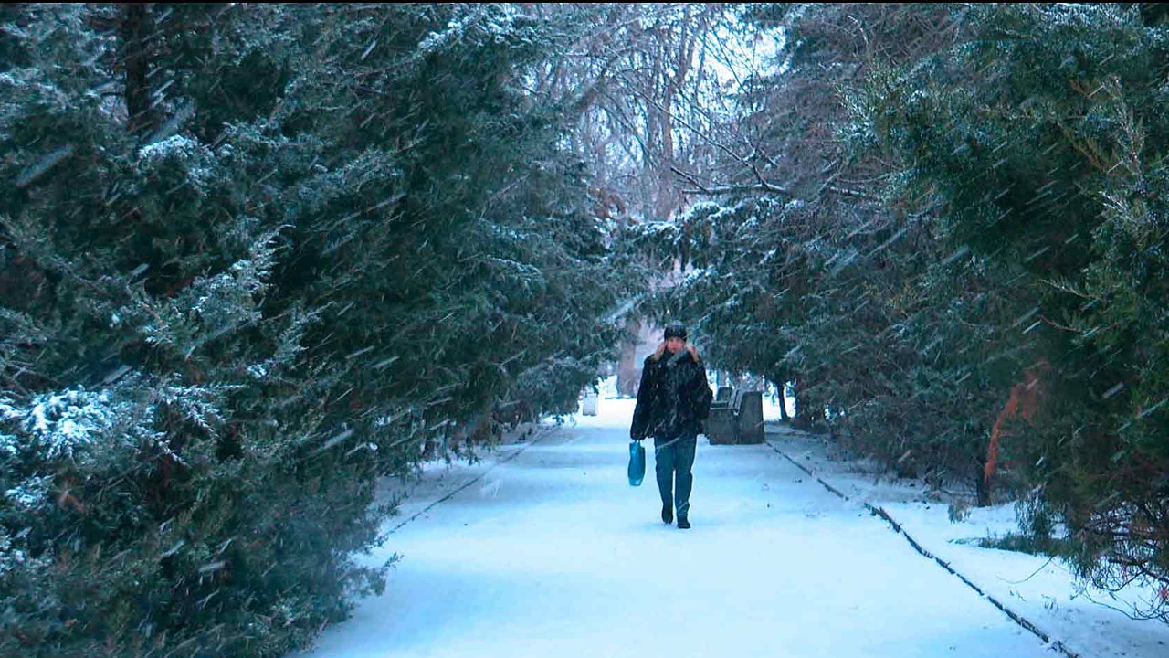 «Вести. Дон» 30.12.2025 (11:30)