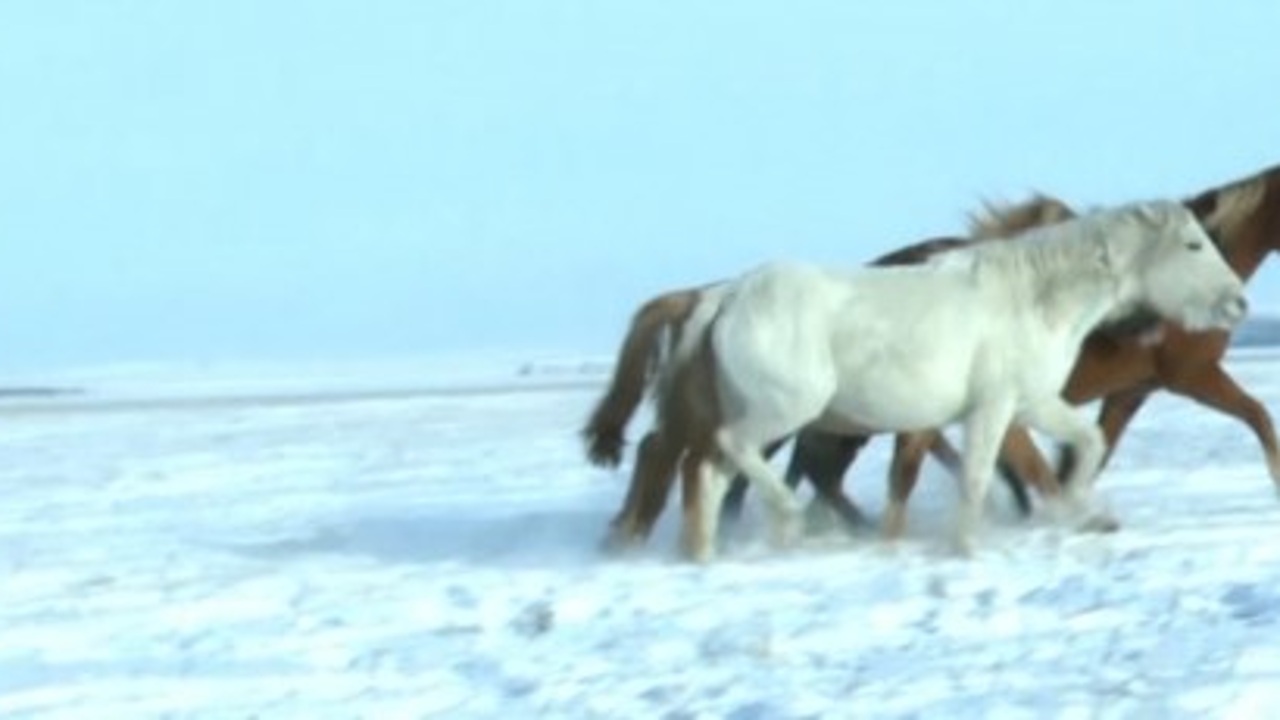 Эфир от 30.12.2025