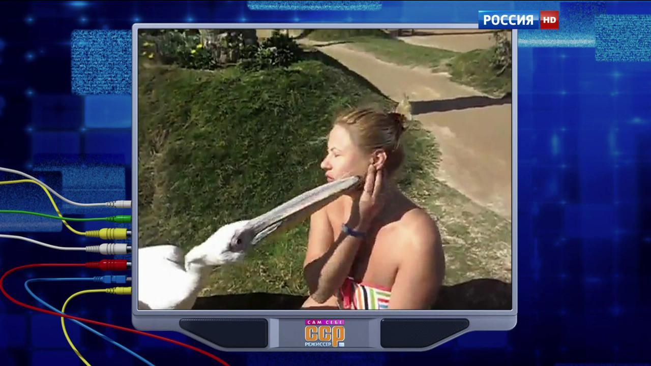 Эфир от 23.08.2015