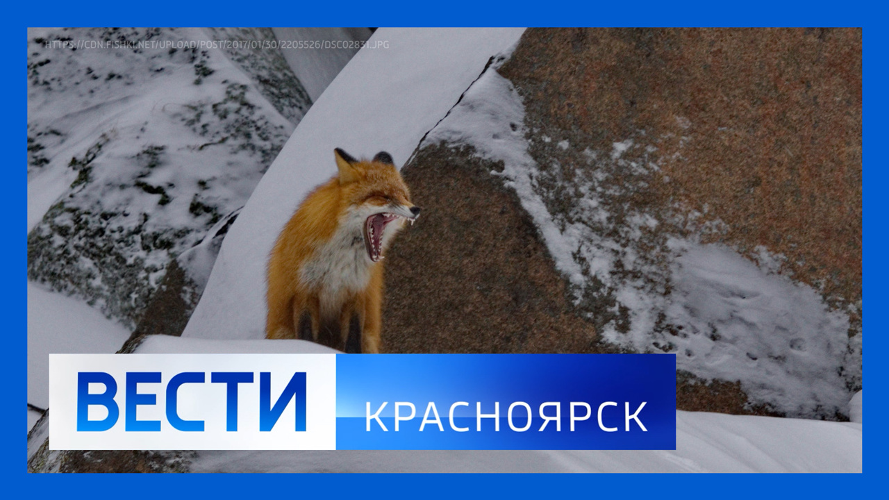 Эфир от 19.01.2026