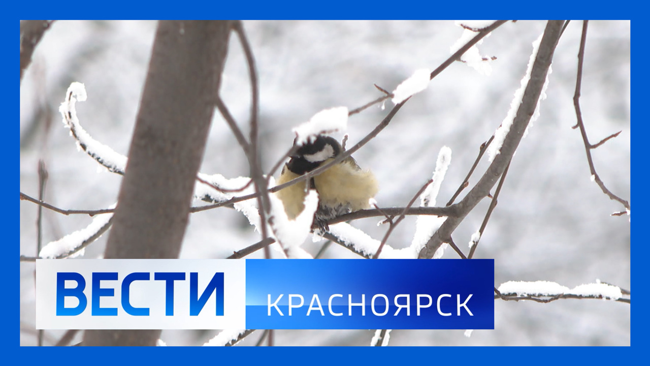 Эфир от 28.01.2026