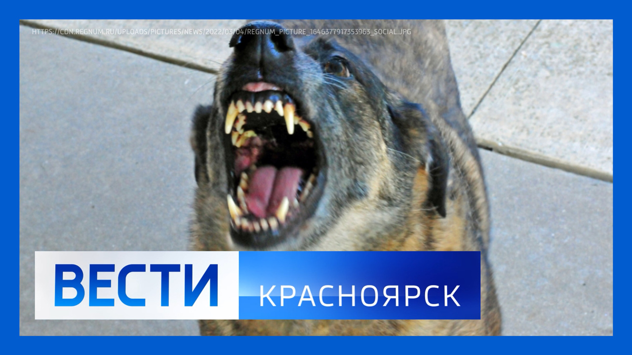 Эфир от 2.02.2026