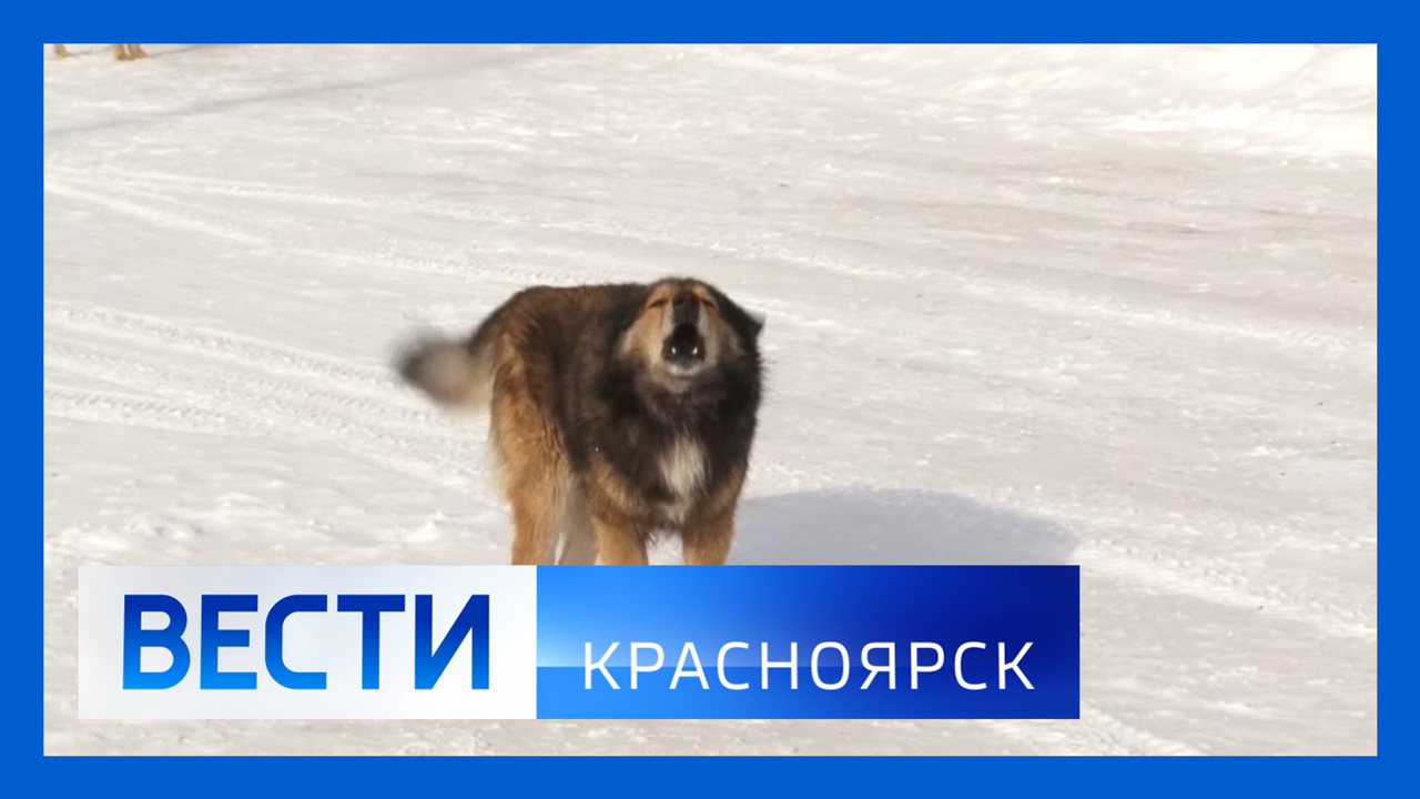 Эфир от 10.02.2026