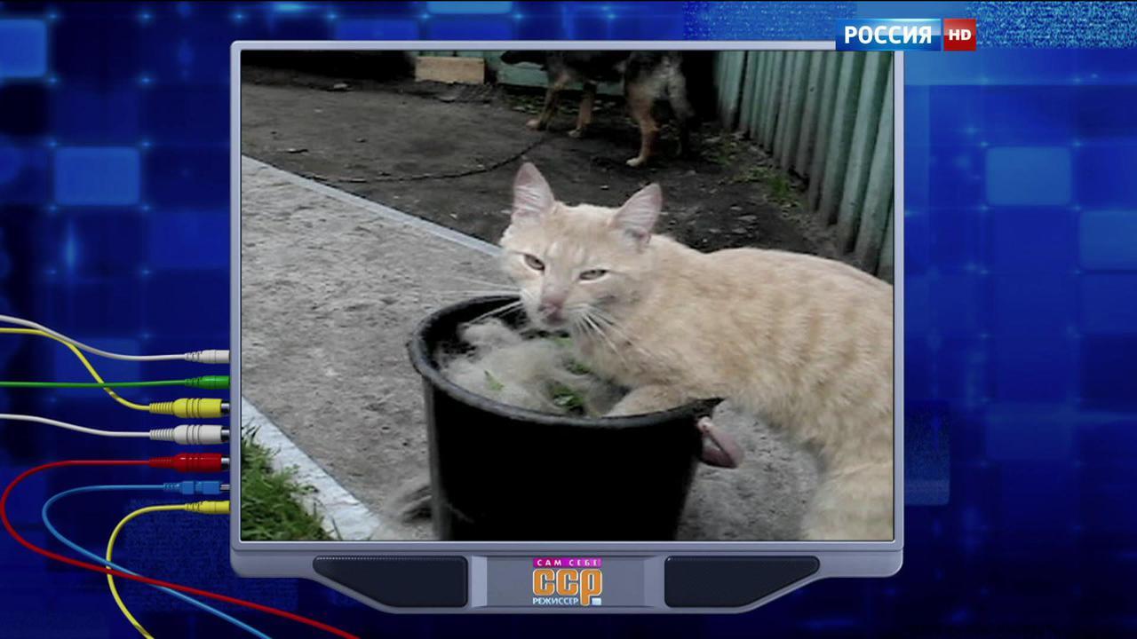 Эфир от 30.08.2015
