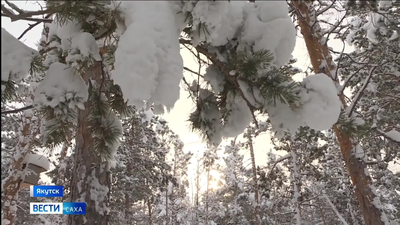 Эфир от 31.12.2025 (09:30)