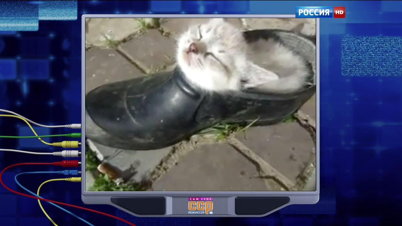 Эфир от 11.10.2015