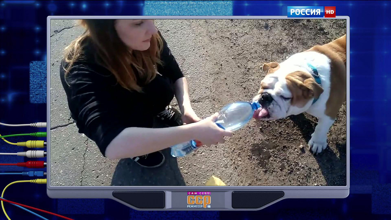 Эфир от 25.10.2015