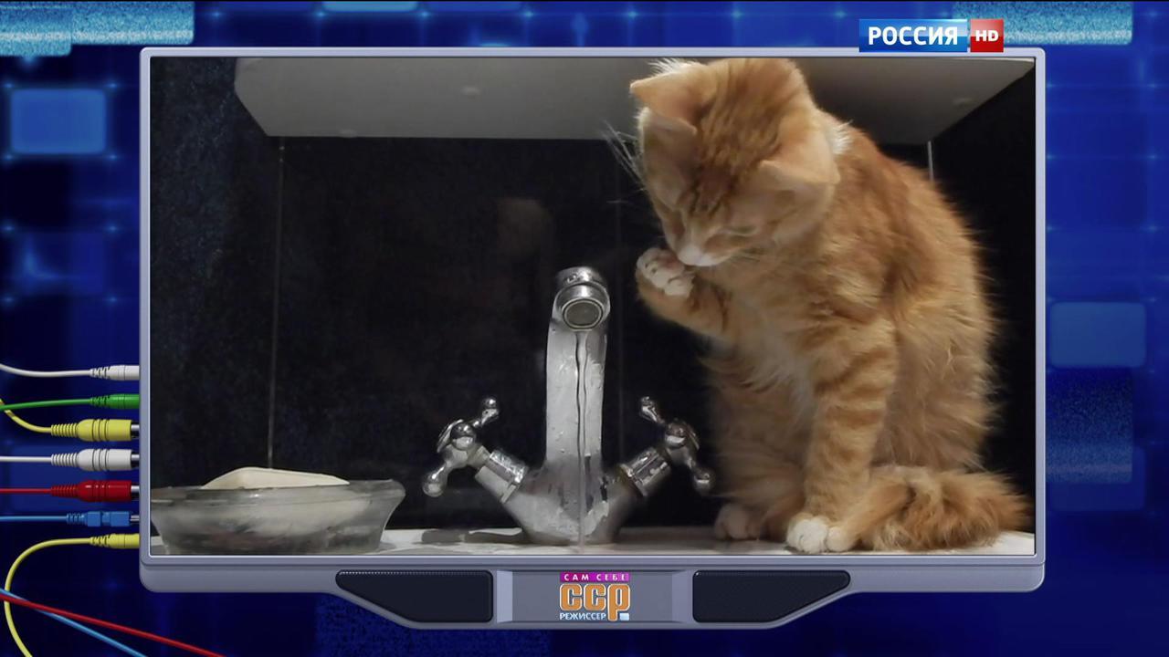 Эфир от 08.11.2015