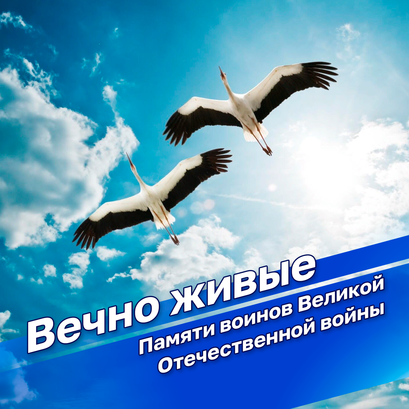 "Вечно живые. Памяти воинов Великой Отечественной" с Сергеем Мачинским