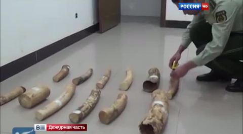 китай