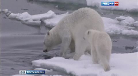 Глобальное потепление: загрязняют одни, платят - другие