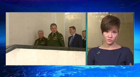 Шойгу: сухопутной операции в Сирии не будет