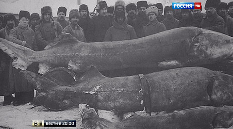 Эфир от 18.12.2015