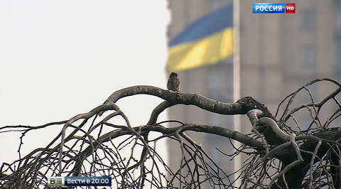 На трехмиллиардный долг введен мораторий: чем рискует Украина