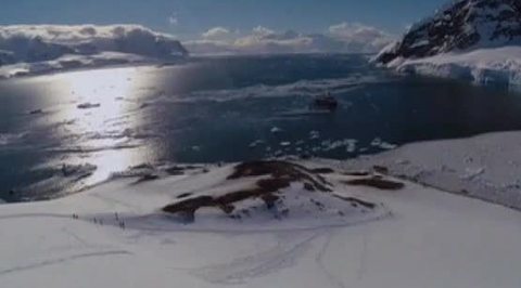 Эфир от 26.01.2016 (10:00)