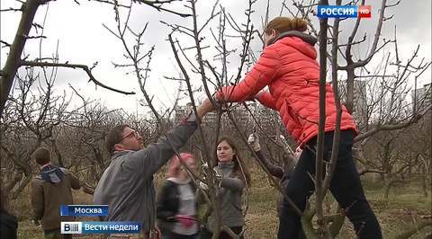 Путин помог ученым Тимирязевки отбиться от застройщиков