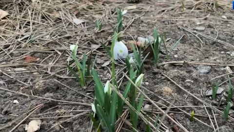 Эфир от 10.03.2026 (21:10)