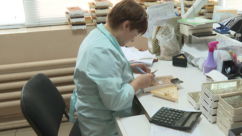 Эфир от 17.03.2026