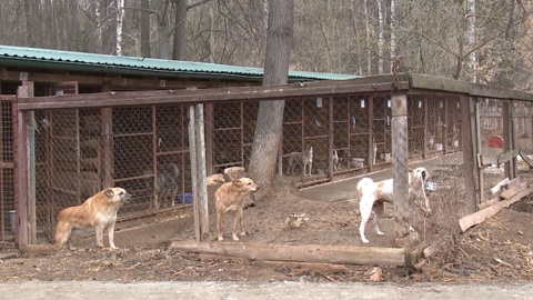 Эфир от 18.03.2026