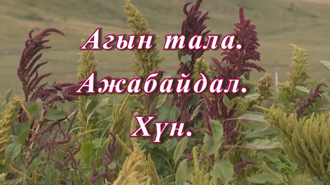 «Агын тала. Ажабайдал. ХYн». Ага и агинцы