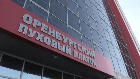 Пуховому королю за миллиардное мошенничество может грозить до 10 лет