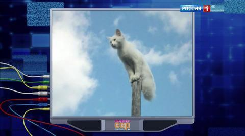 Эфир от 03.07.2016