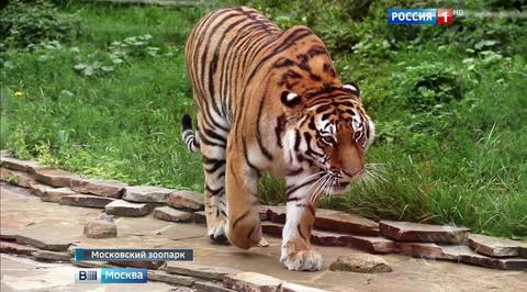 Эфир от 29.07.2016