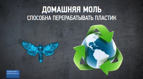 Эфир от 14.08.2016