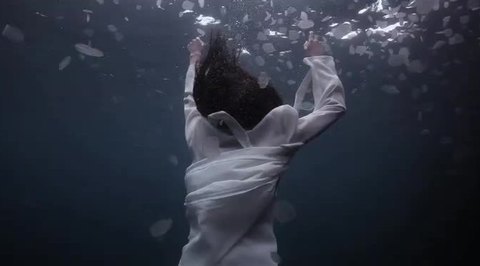 Трейлер Трейлер