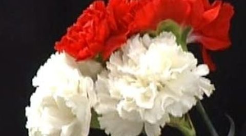 Скончалась народная артистка СССР Ия Саввина