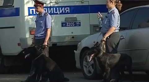 Виновный в наезде на студентов задержан