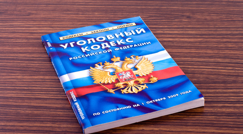 Трём участницам избиения девушки-инвалида в Подмосковье предъявили обвинение