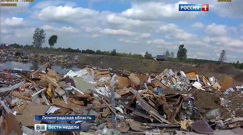 Ядовитый бизнес: как в России идет война за мусор