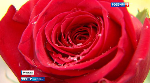В Москве прошла акция памяти жертв политических репрессий