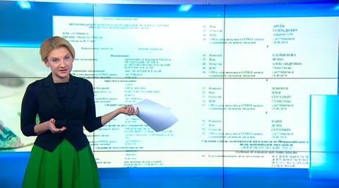 "Кремлевский грантоед": почему поссорились защитники Савченко