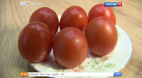 Эфир от 22.11.2016
