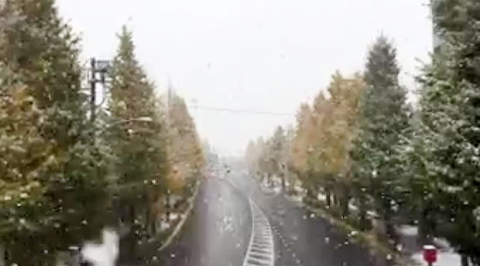 Токио неожиданно засыпало снегом