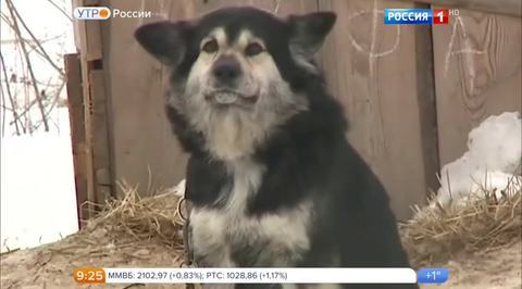 Эфир от 25.11.2016