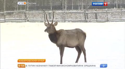 Эфир от 01.12.2016
