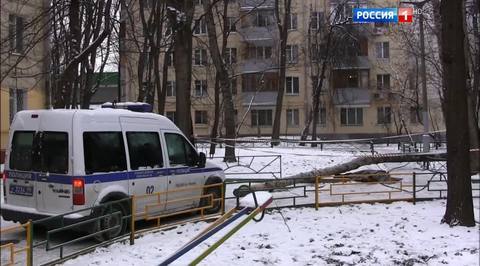 Трагедия на востоке Москвы: обледенелое дерево рухнуло на прохожих
