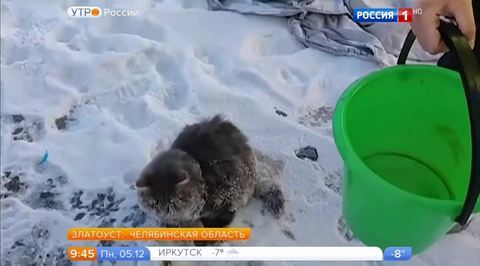 Эфир от 05.12.2016