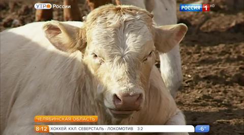 Эфир от 09.12.2016