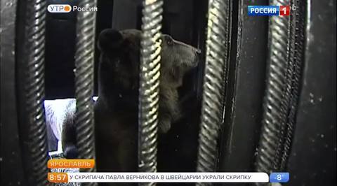 Эфир от 12.12.2016