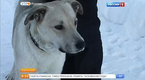 Эфир от 13.12.2016