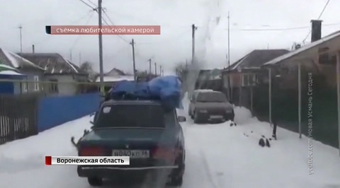 Черный лесоруб посыпал головы автоинспекторов хвоей