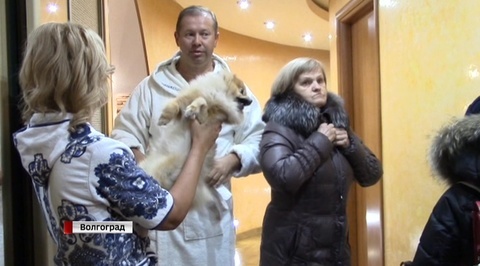 Волгоградские депутаты обманывали налоговую на миллионы