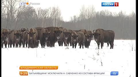 Эфир от 16.12.2016