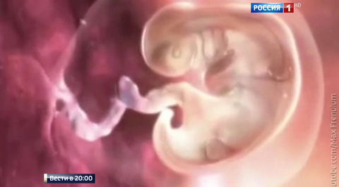 Эфир от 16.12.2016